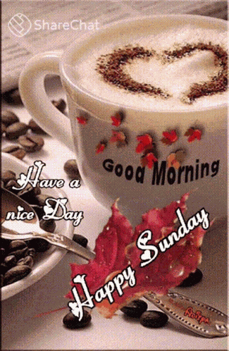 Happy Sunday Have Anice Day GIF