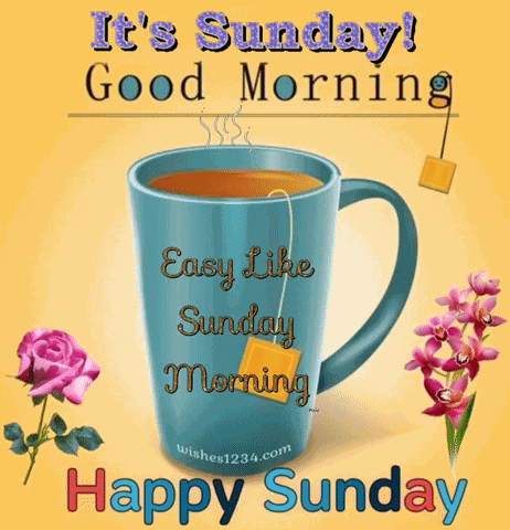 Happy Sunday GIF