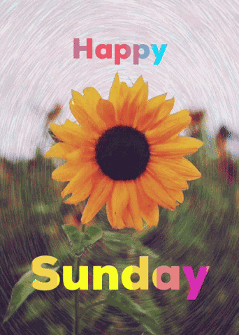 Happy Sunday GIF