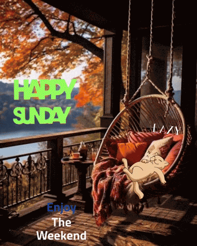 Happy Sunday GIF