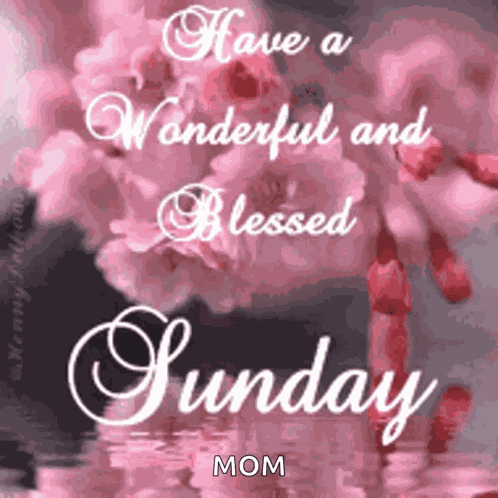 Happy Sunday GIF
