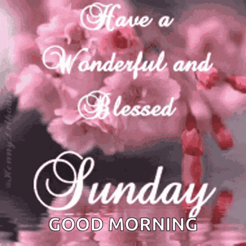 Happy Sunday GIF