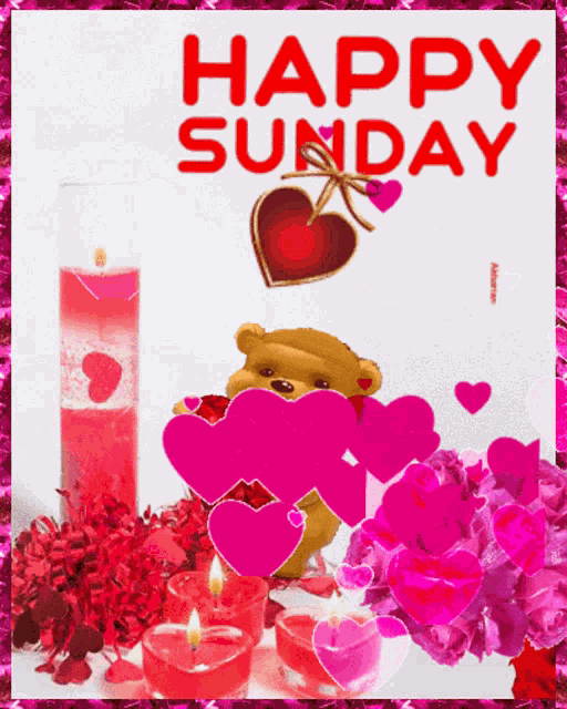 Happy Sunday Sunday GIF