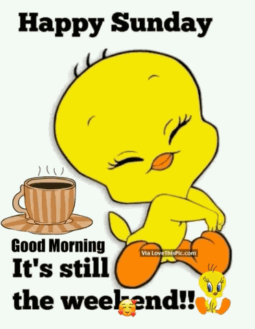 Happy Sunday GIF