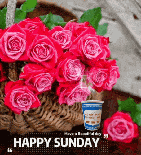 Happy Sunday GIF