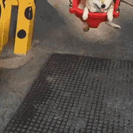 Happy Swing GIF