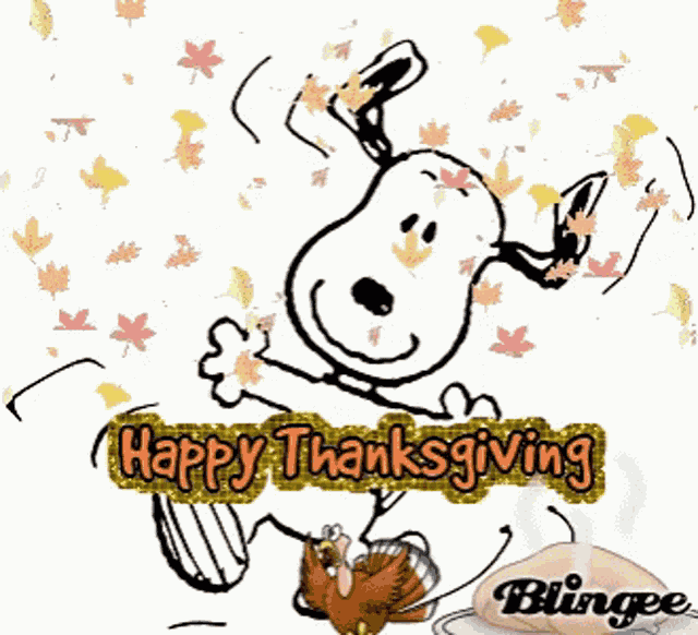 Happy Thankgiving GIF