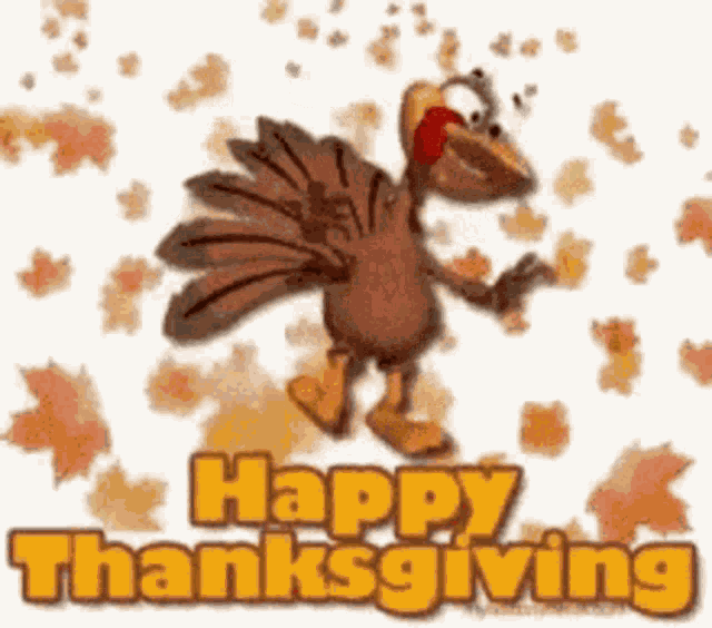 Happy Thankgiving GIF