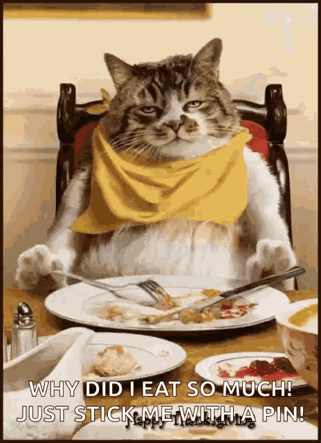 Happy Thanksgiving Cat GIF