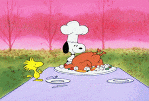 Happy Thanksgiving Charlie Brown Snoopy Happy Thanksgiving Snoopy GIF