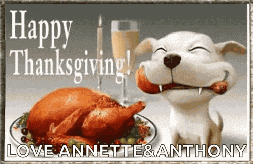 Happy Thanksgiving Dog GIF