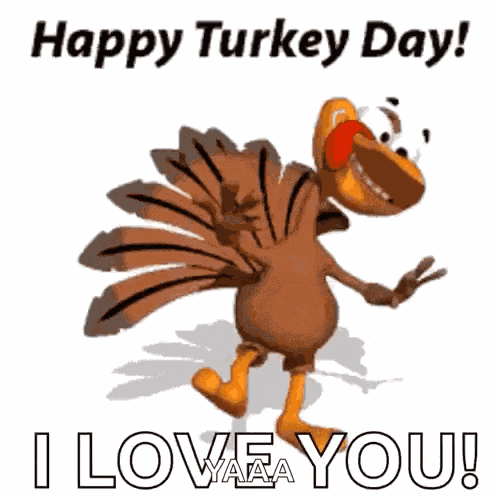 Happy Thanksgiving Happy Turkey Day GIF