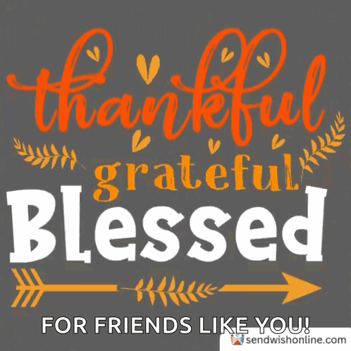 Happy Thanksgiving Happythanksgiving GIF
