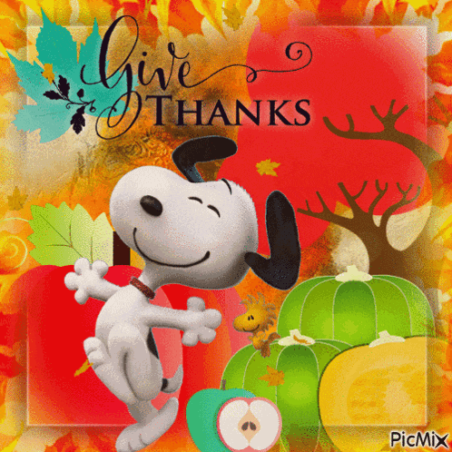 Happy Thanksgiving Snoopy Happy Thankgiving GIF