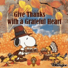 Happy Thanksgiving Snoopy Happy Thankgiving Meme