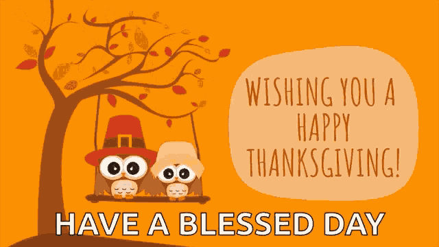 Happy Thanksgiving Week Greeting GIF