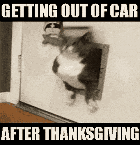 Happy Thanksgiving GIF