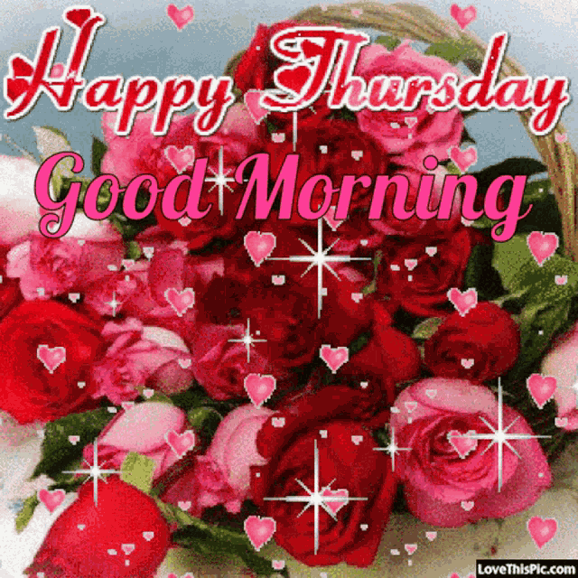 Happy Thursday Good Morning GIF