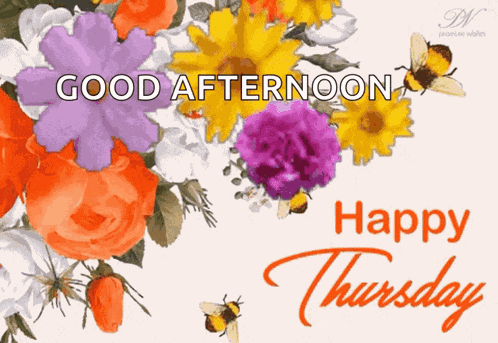 Happy Thursday Good Morning GIF