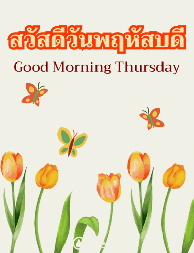Happy Thursday Greetings Card GIF
