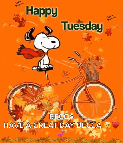 Happy Tuesday GIF