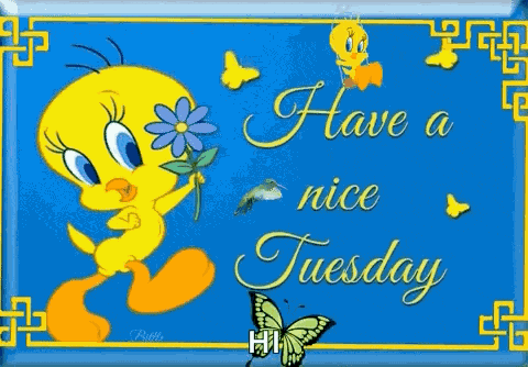 Happy Tuesday GIF