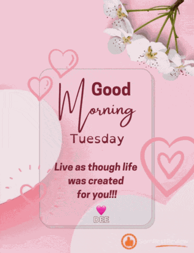 Happy Tuesday Greetings Card Meme