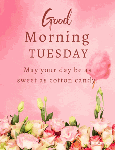 Happy Tuesday Greetings Card Meme