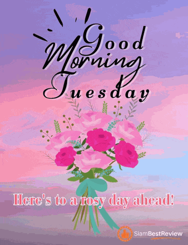 Happy Tuesday Greetings Card Meme