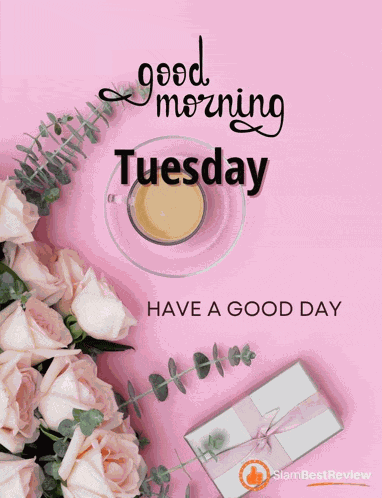 Happy Tuesday Greetings Card Meme