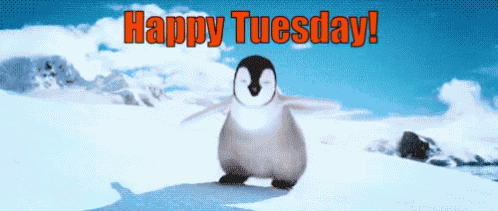 Happy Tuesday Happy Feet GIF
