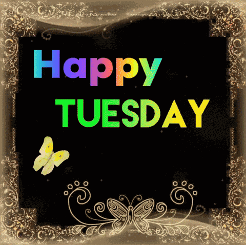 Happy Tuesday GIF