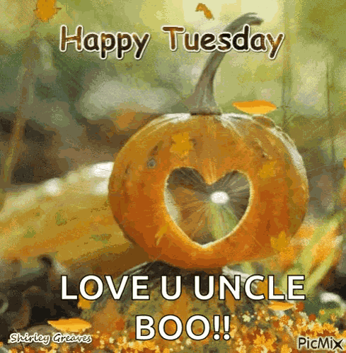 Happy Tuesday Pumpkin GIF