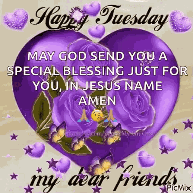 Happy Tuesday Tuesday GIF