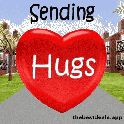 Happy Valentines Day Happy Hug Day GIF