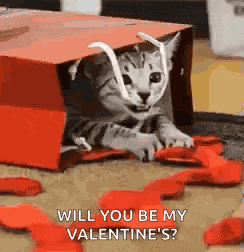 Happy Valentines GIF