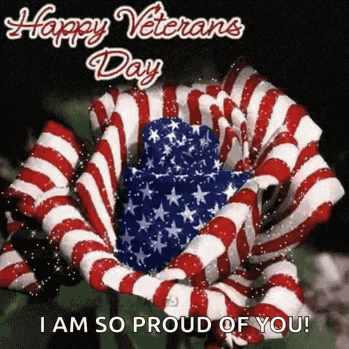 Happy Veterans Day Usa GIF