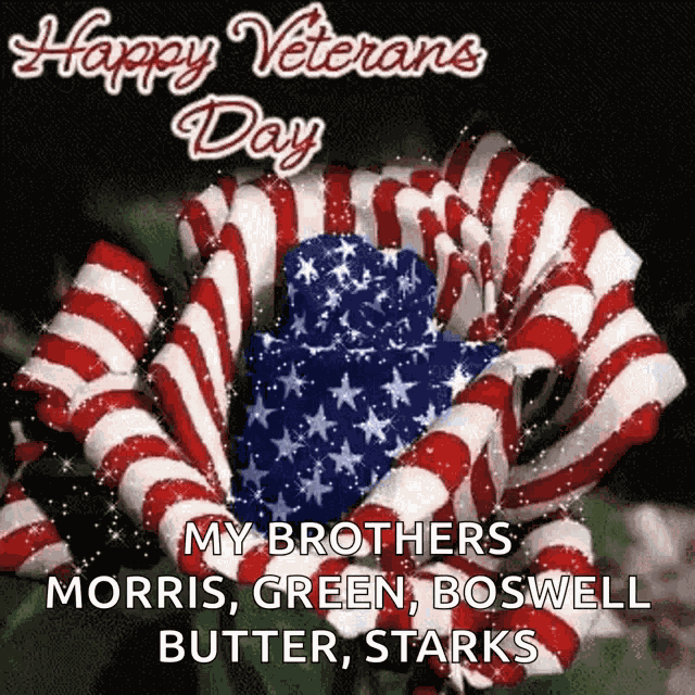 Happy Veterans GIF