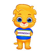 Happy Wednesday Happy Wednesday Good Morning Sticker