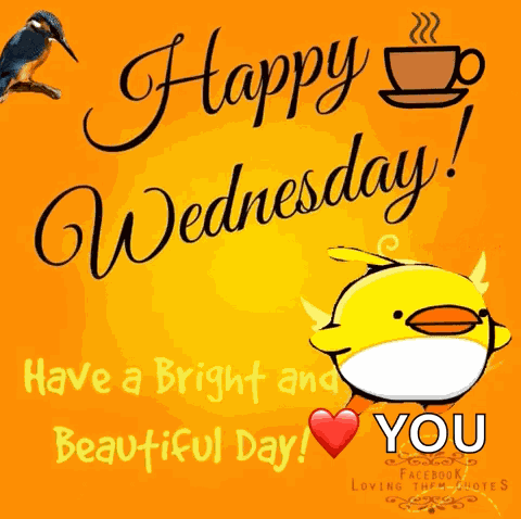 Happy Wednesday GIF