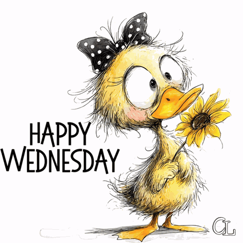 Happy Wednesday Wednesday Greeting GIF
