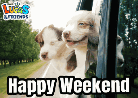 Happy Weekend Happy Weekends GIF