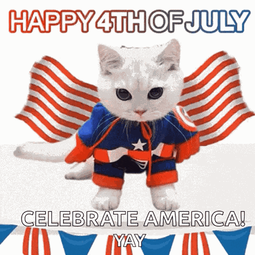 Happy4thjuly America Cat GIF