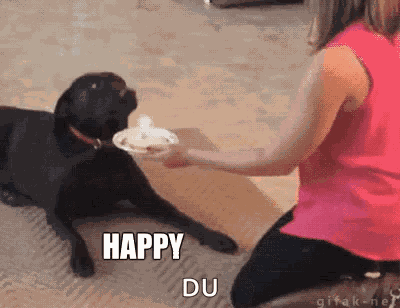 Happybirthday No GIF