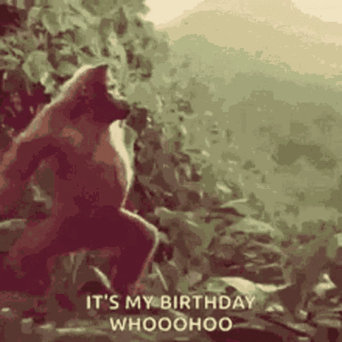 Happybirthday GIF