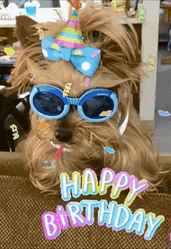 Happybirthday Partyhat GIF