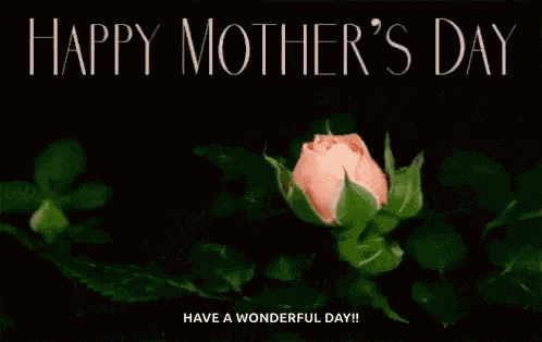Happymotherday Greetings GIF