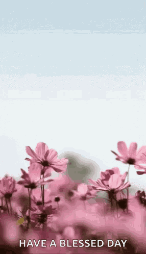 Happymothersday Flowers GIF