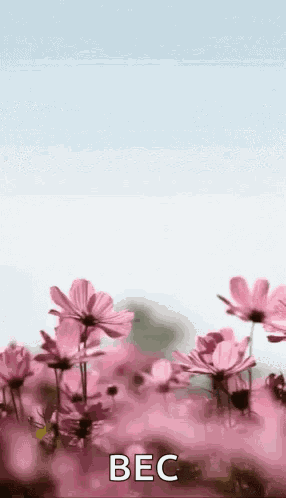 Happymothersday Momsday GIF