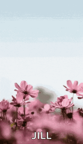 Happymothersday Momsday GIF